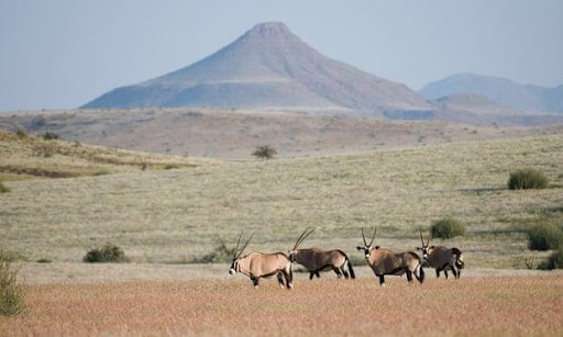 Namibia - Africa’s tourism success story built on nature conservation (National Geographic)
