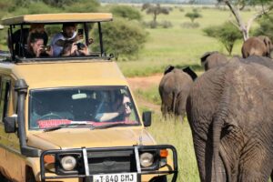 International tourists on safari in Africa