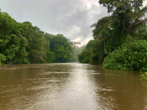 Sapo National Park river rainforest