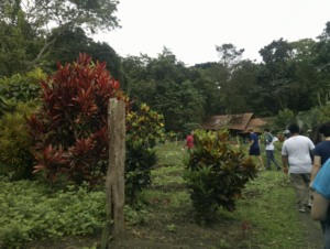 Ecuador Machalilla National Park rainforest farm