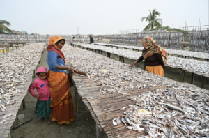 Local Culture: Cox’s Bazar 