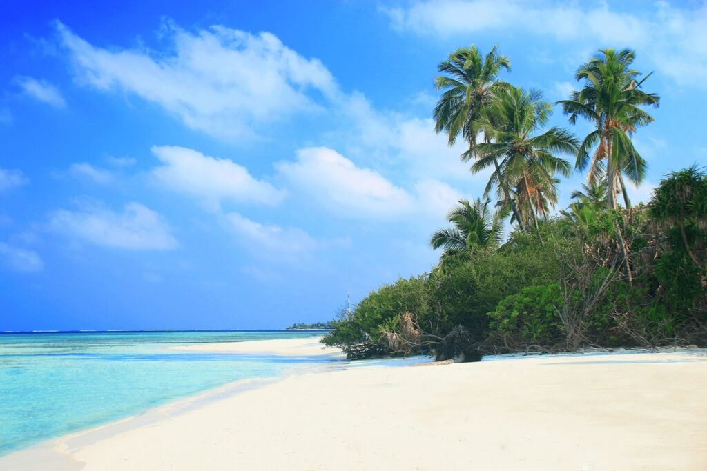 A landscape picture of the Maldives with white sand beaches and turquoise water and palm trees in the distance.